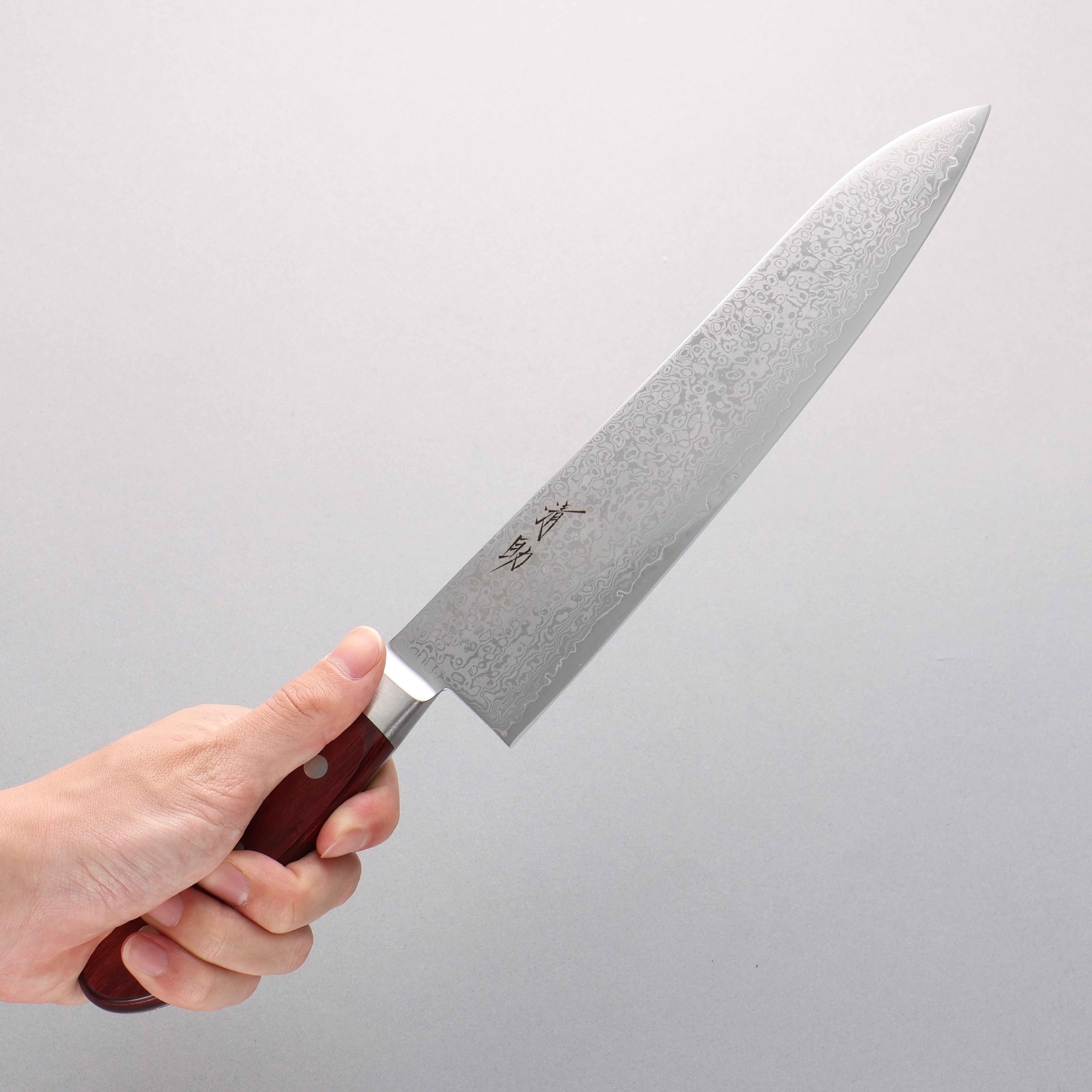 Seisuke VG10 33 Layer Mirrored Finish Damascus Gyuto 240mm Red Pakka wood Handle - Seisuke Knife