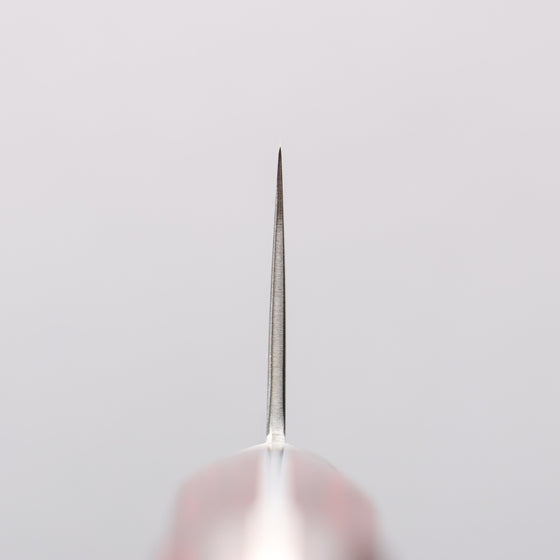 Seisuke VG10 33 Layer Mirrored Finish Damascus Gyuto 240mm Red Pakka wood Handle - Seisuke Knife