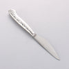 Seisuke Stainless Steel Steak Knife & Fork Set 80mm Stainless Handle Ryujin - Seisuke Knife - Slide 3