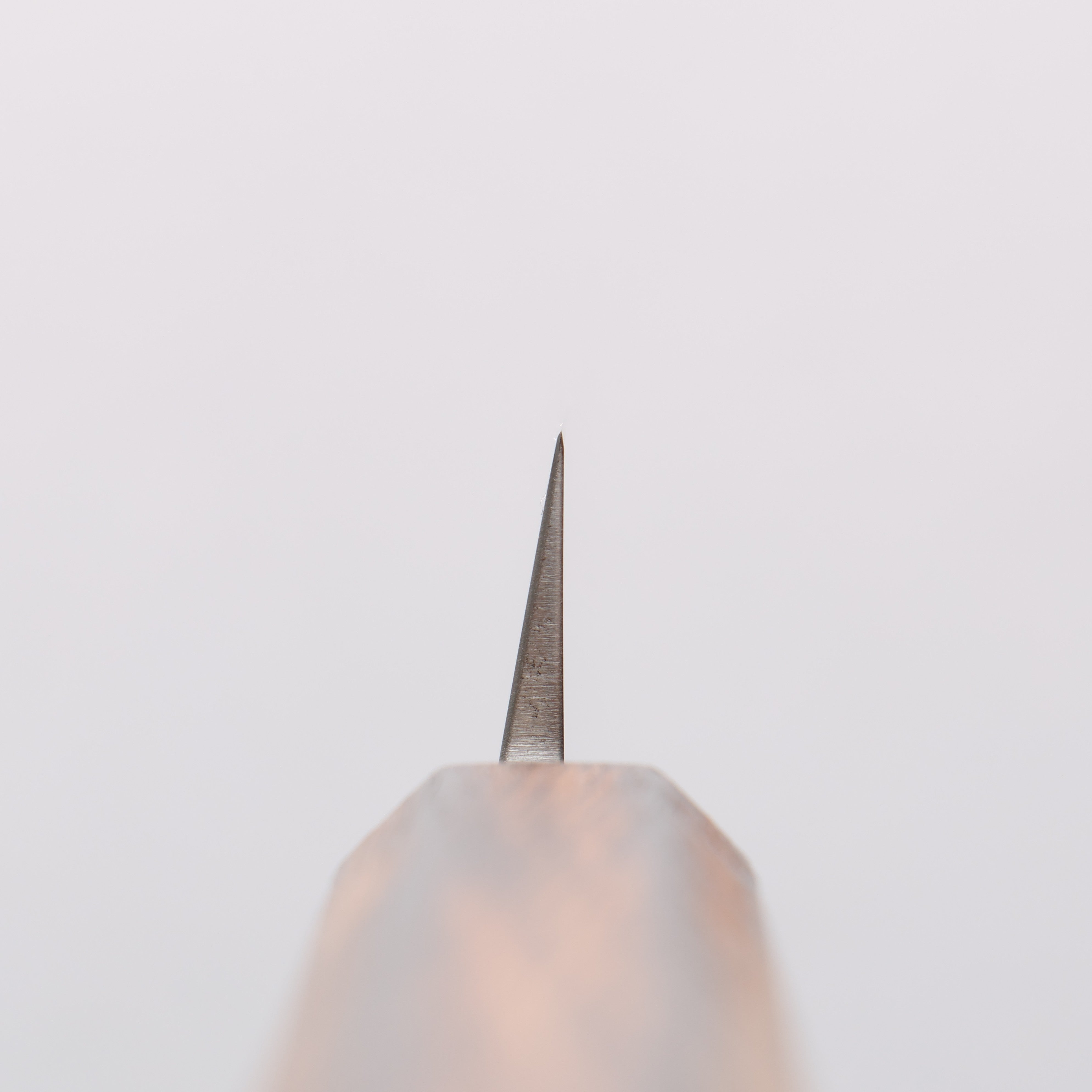 Seisuke AUS8 Yanagiba 210mm Oak Handle - Seisuke Knife