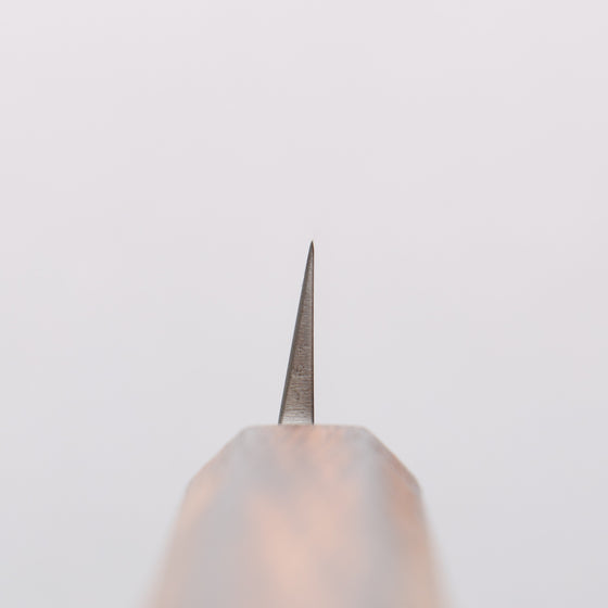 Seisuke AUS8 Yanagiba 210mm Oak Handle - Seisuke Knife