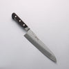 Seisuke Blue Steel No.2 Nashiji Hammered Gyuto 200mm Black Pakka wood Handle - Seisuke Knife - Slide 1