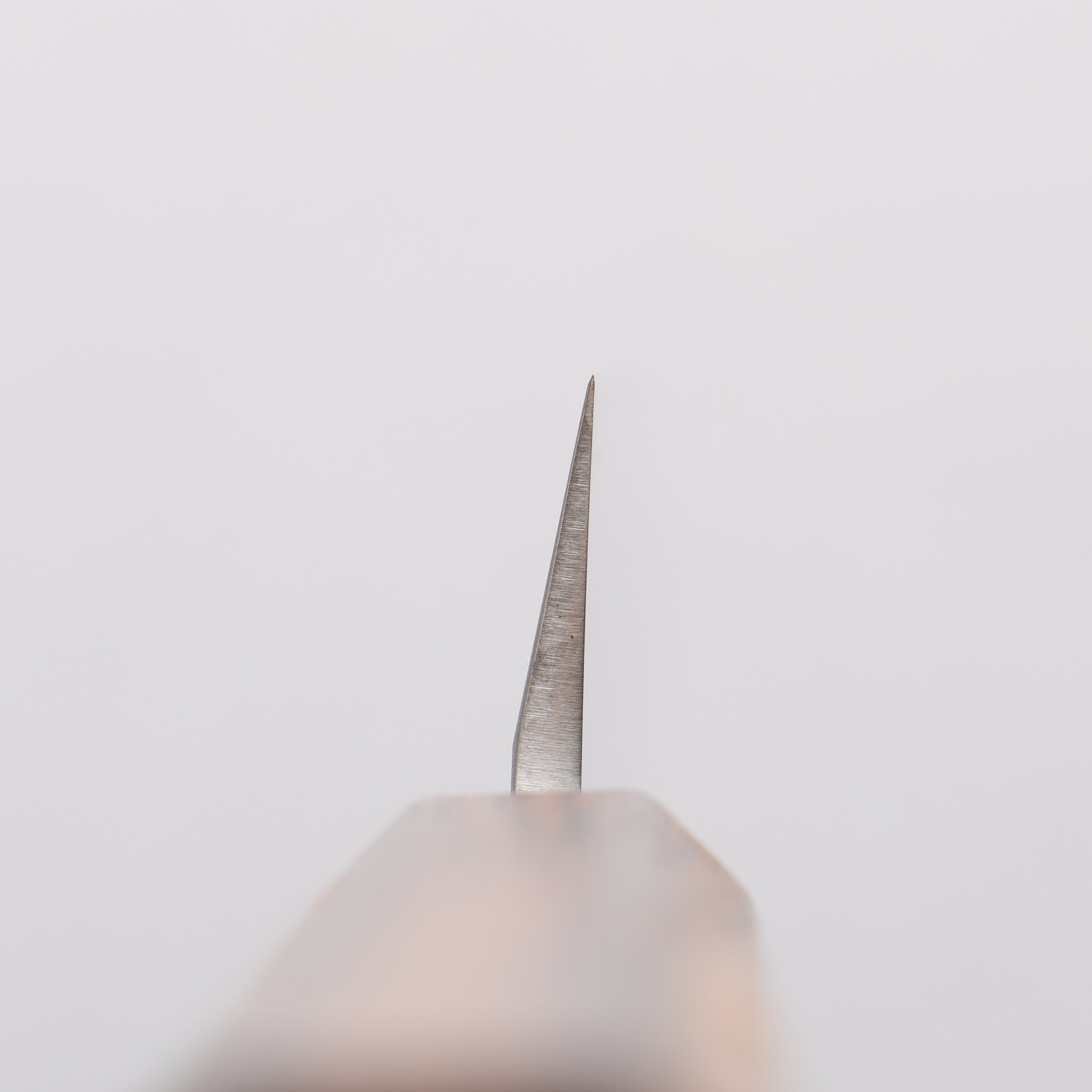 Seisuke AUS8 Yanagiba 240mm Oak Handle - Seisuke Knife