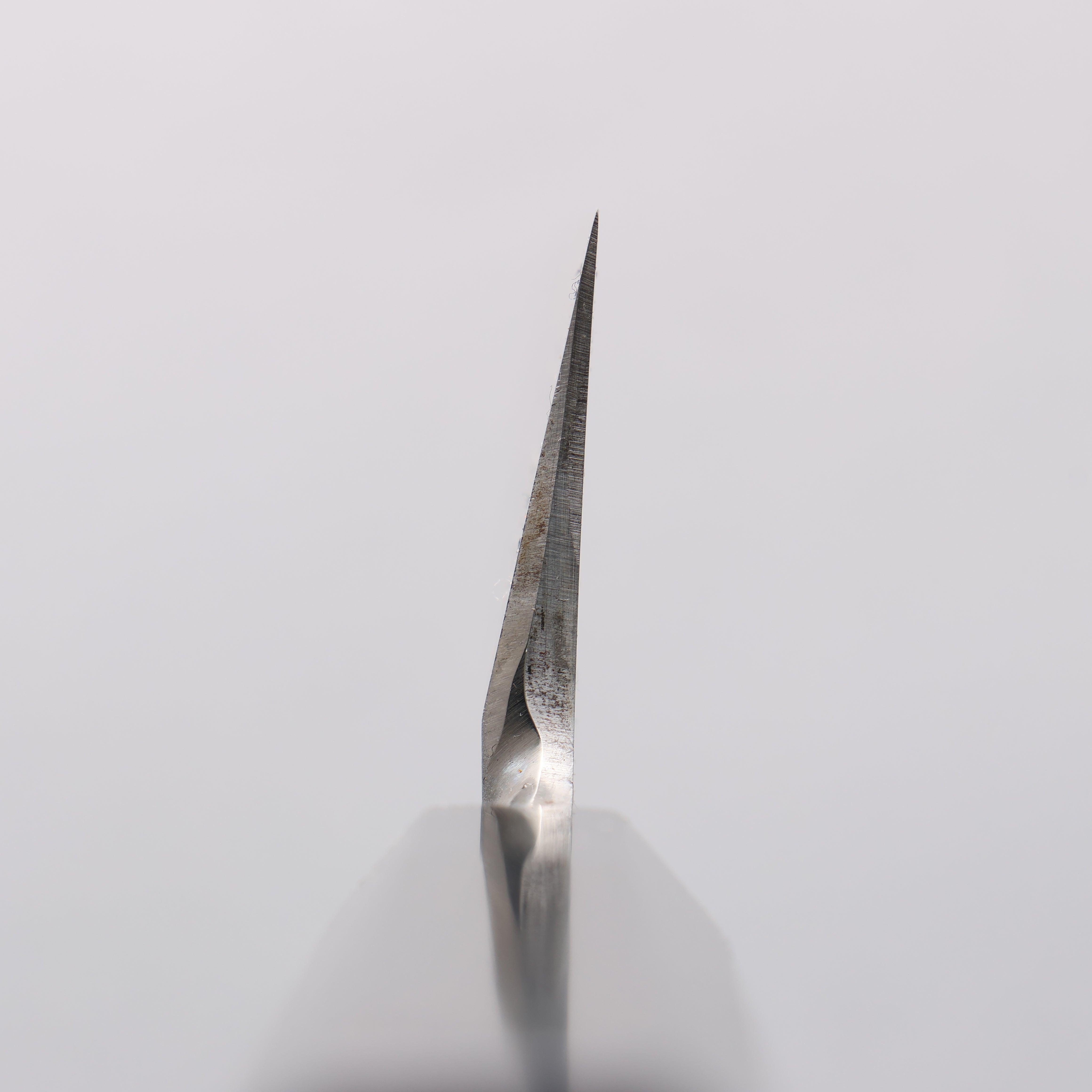 Sakai Takayuki Blue Steel No.2 Kamagata Usuba Ebony Wood Handle - Seisuke Knife