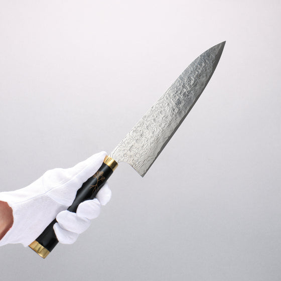 Takeshi Saji Maki-e Art Crane SG2 Diamond Finish Gyuto 210mm Wood(Lacquered) Handle with Sheath - Seisuke Knife