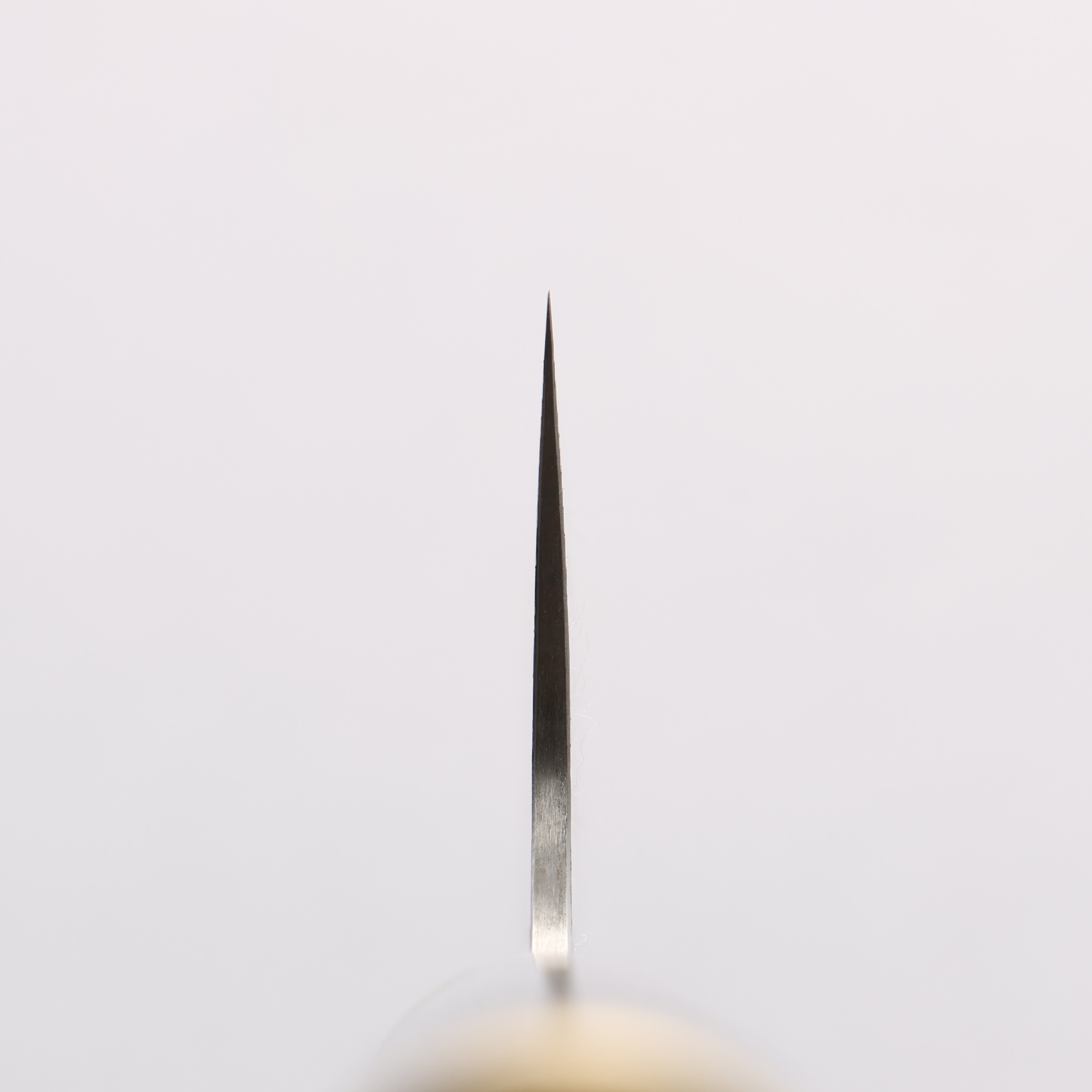 Takeshi Saji Maki-e Art Crane SG2 Diamond Finish Gyuto 210mm Wood(Lacquered) Handle with Sheath - Seisuke Knife