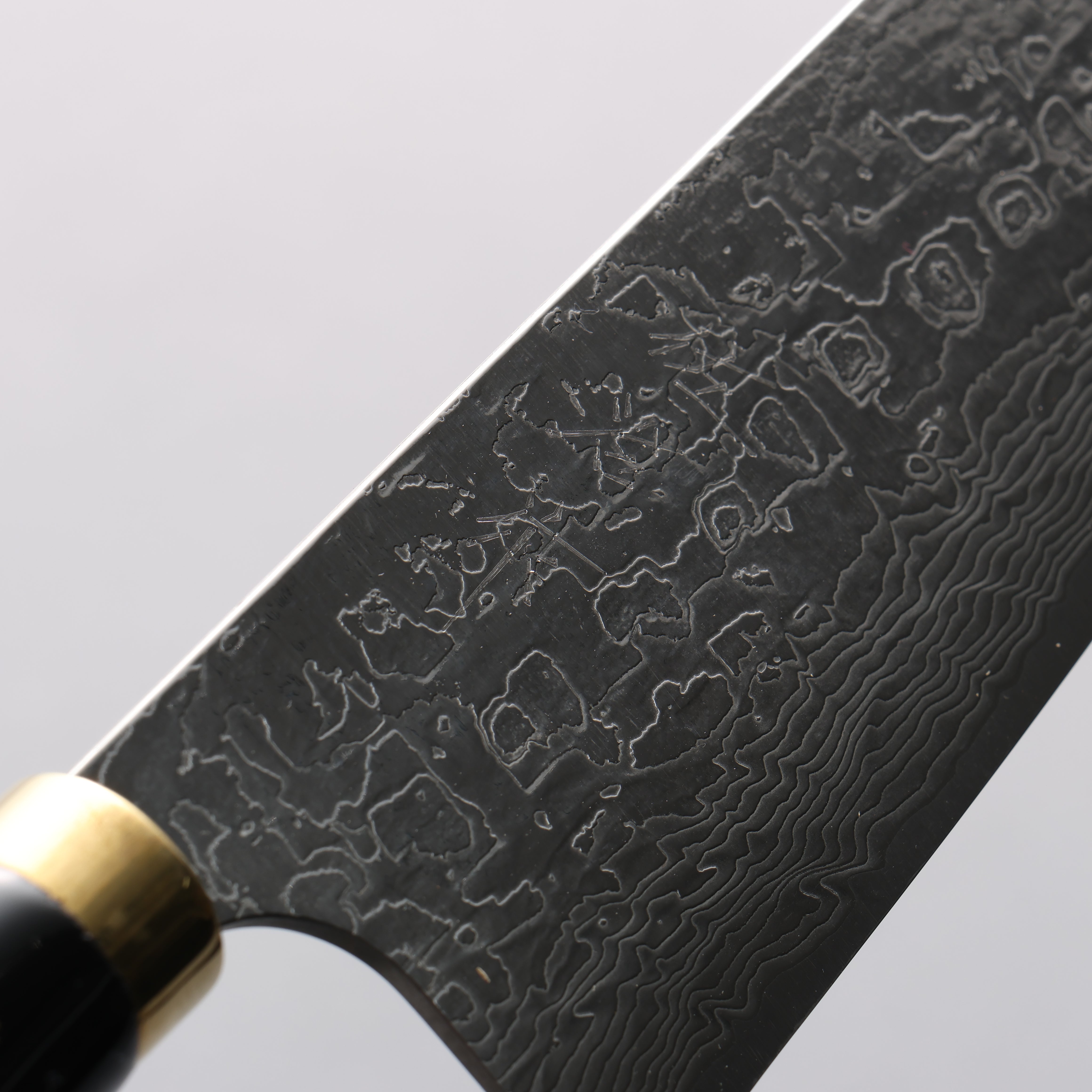 Takeshi Saji Maki-e Art Crane SG2 Diamond Finish Gyuto 240mm Wood(Lacquered) Handle with Sheath - Seisuke Knife
