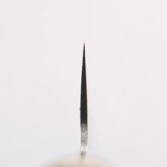 Takeshi Saji Maki-e Art Crane SG2 Diamond Finish Gyuto 240mm Wood(Lacquered) Handle with Sheath - Seisuke Knife