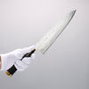 Takeshi Saji Maki-e Art Tiger SG2 Diamond Finish Gyuto 240mm Wood(Lacquered) Handle with Sheath - Seisuke Knife - Slide 4