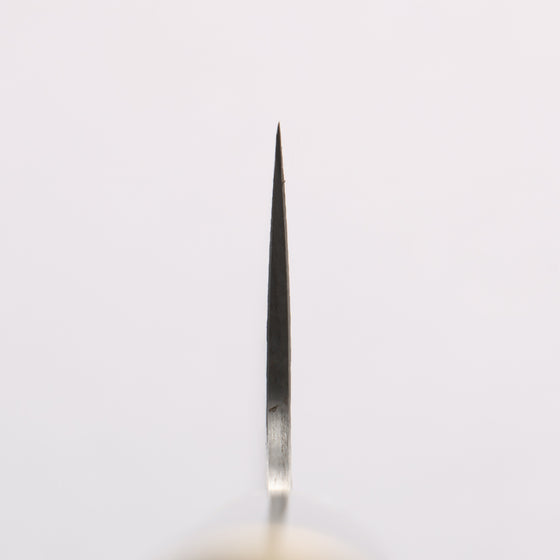 Takeshi Saji Maki-e Art Tiger SG2 Diamond Finish Gyuto 240mm Wood(Lacquered) Handle with Sheath - Seisuke Knife