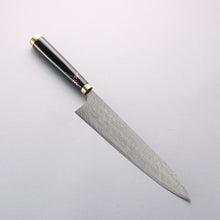  Takeshi Saji Maki-e Art Peacock SG2 Diamond Finish Gyuto 240mm Wood(Lacquered) Handle with Sheath - Seisuke Knife