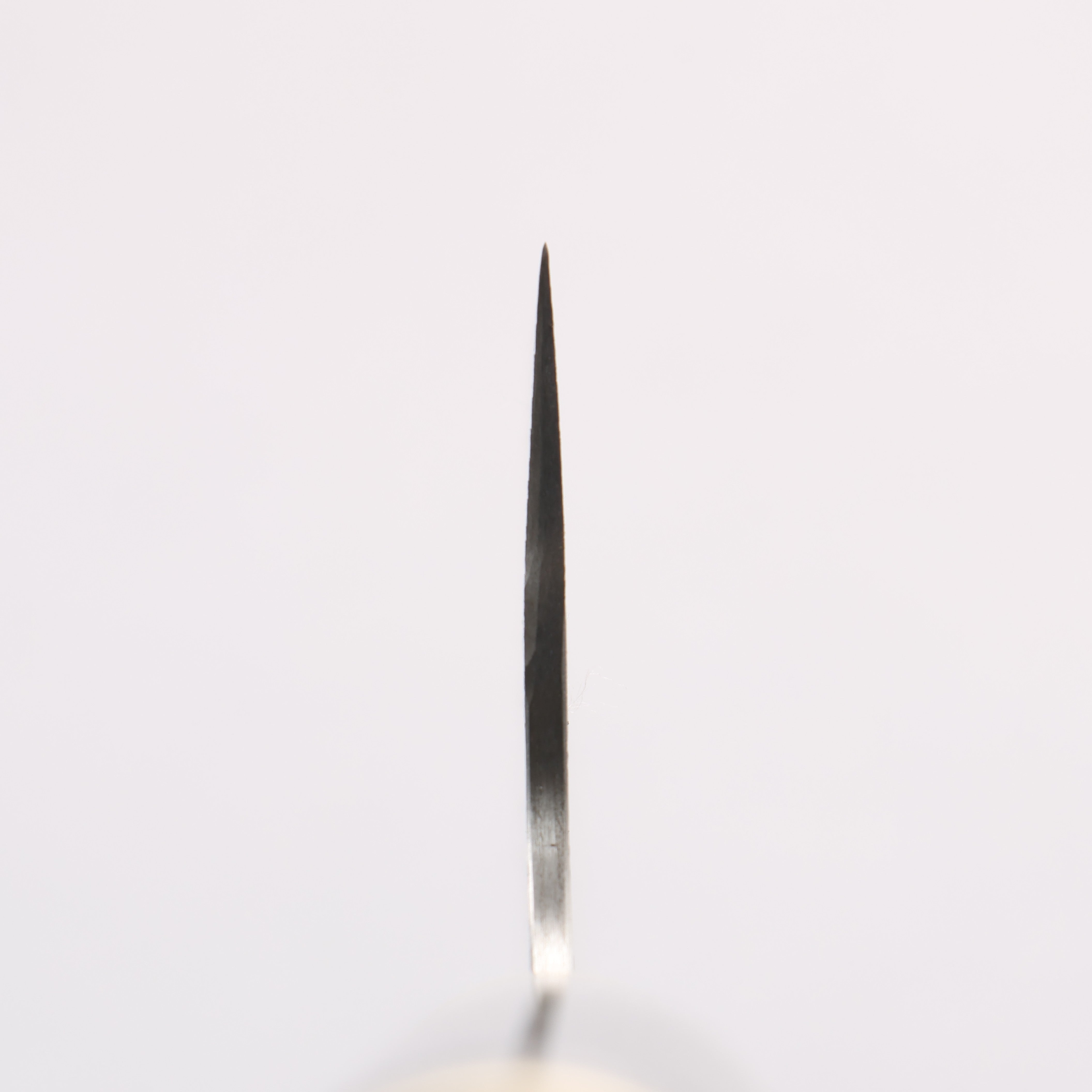 Takeshi Saji Maki-e Art Peacock SG2 Diamond Finish Gyuto 270mm Wood(Lacquered) Handle with Sheath - Seisuke Knife