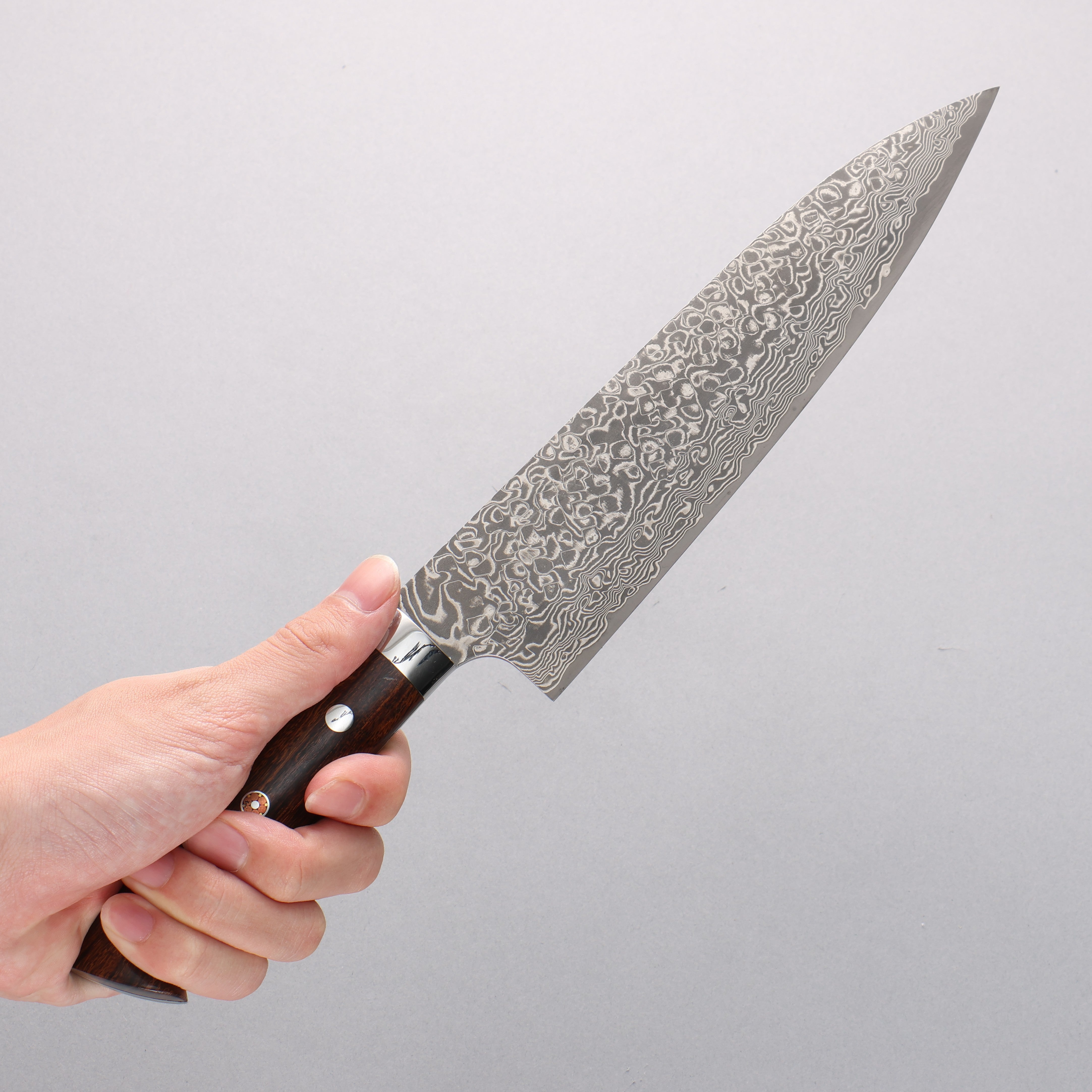 Takeshi Saji SG2 Black Damascus Gyuto 210mm Ironwood Handle - Seisuke Knife