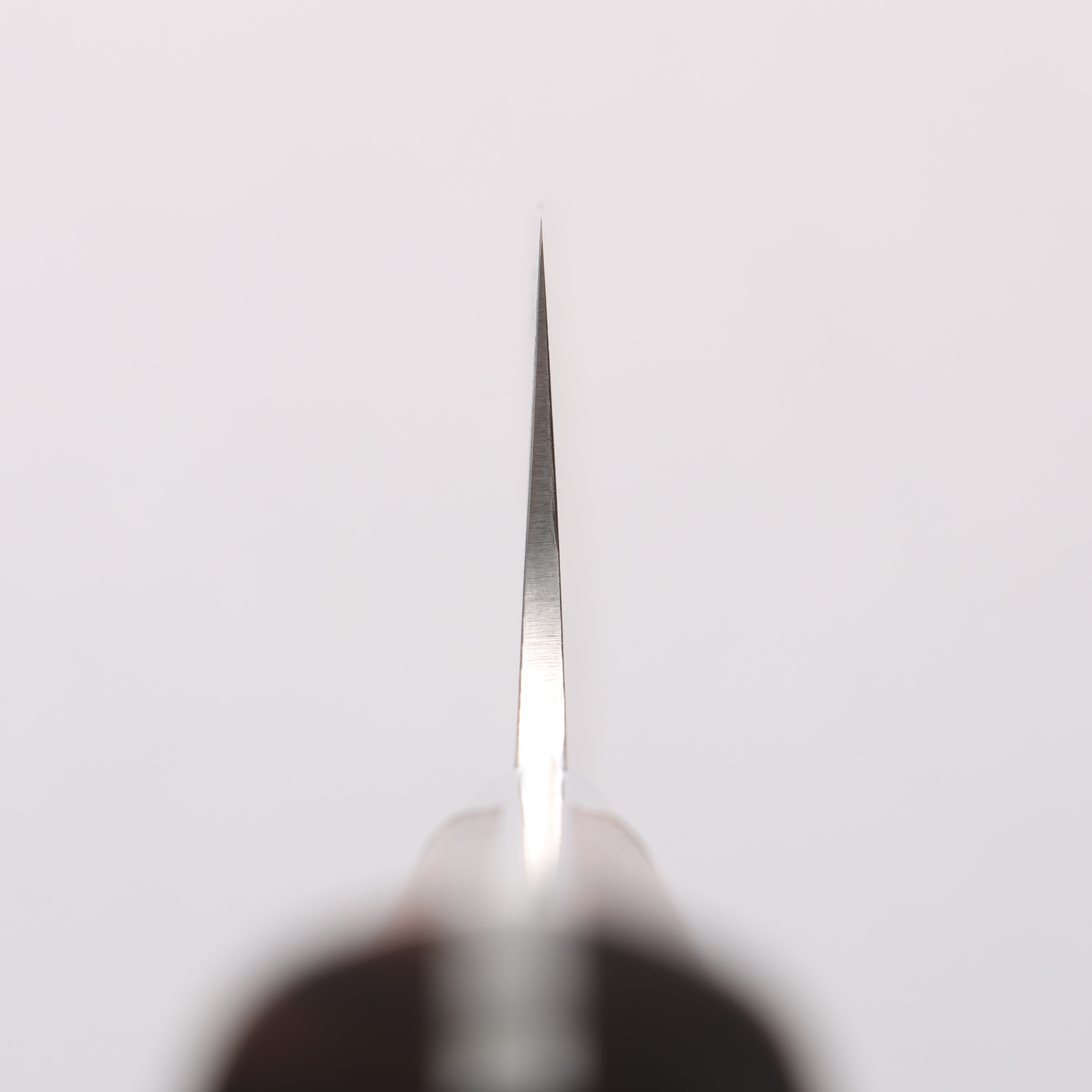 Takeshi Saji SG2 Black Damascus Gyuto 210mm Ironwood Handle - Seisuke Knife