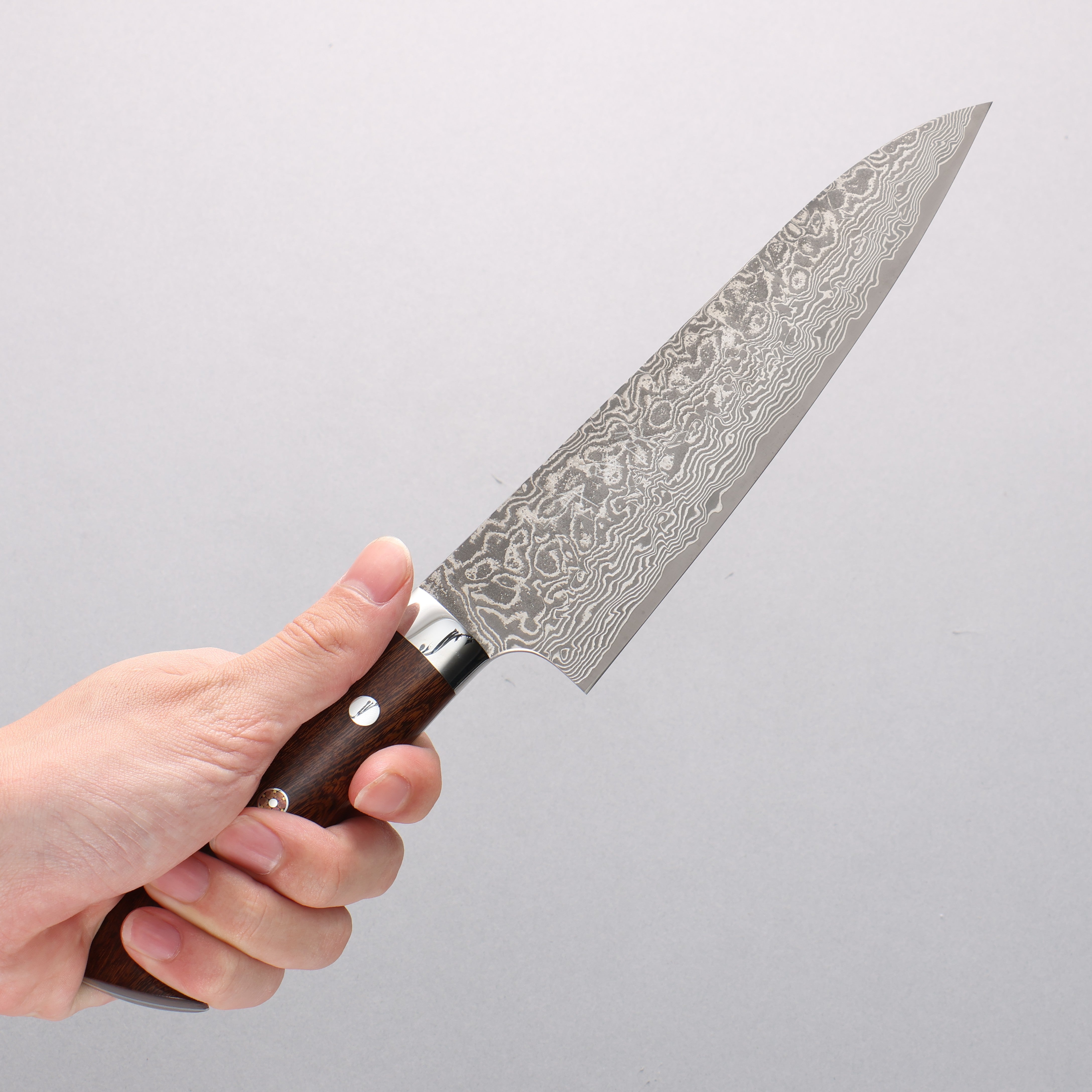 Takeshi Saji SG2 Black Damascus Gyuto 240mm Ironwood Handle - Seisuke Knife