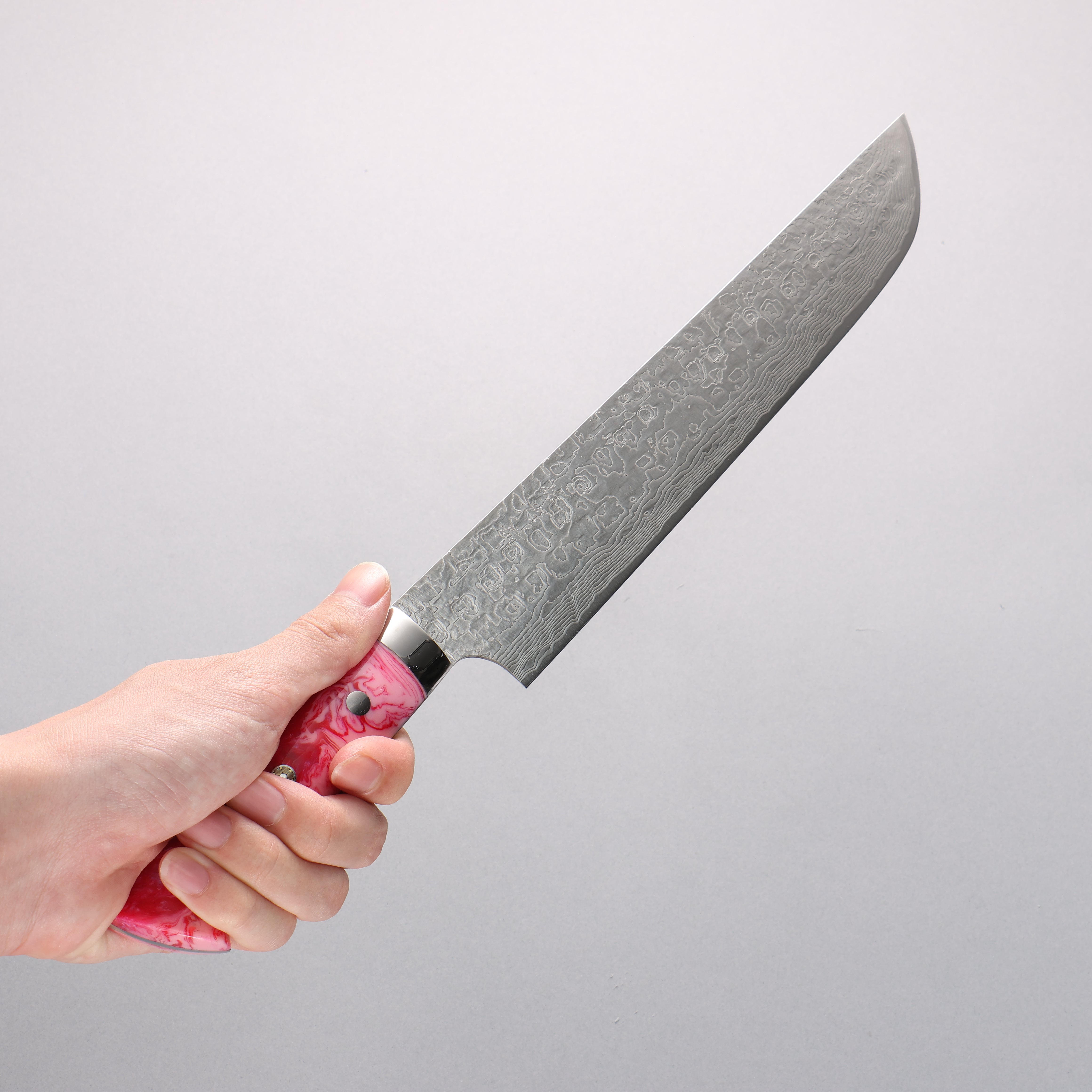 Takeshi Saji SG2 Damascus Diamond Finish Sakimaru Sujihiki 240mm Pink and Red Marble Acrylic Handle - Seisuke Knife