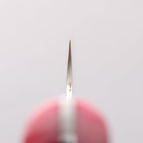 Takeshi Saji SG2 Damascus Diamond Finish Sakimaru Sujihiki 240mm Pink and Red Marble Acrylic Handle - Seisuke Knife