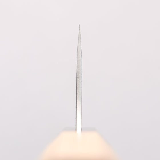 Sakai Takayuki Homura Kogetsu Blue Steel No.2 Gyuto 240mm Yew Tree Handle - Seisuke Knife