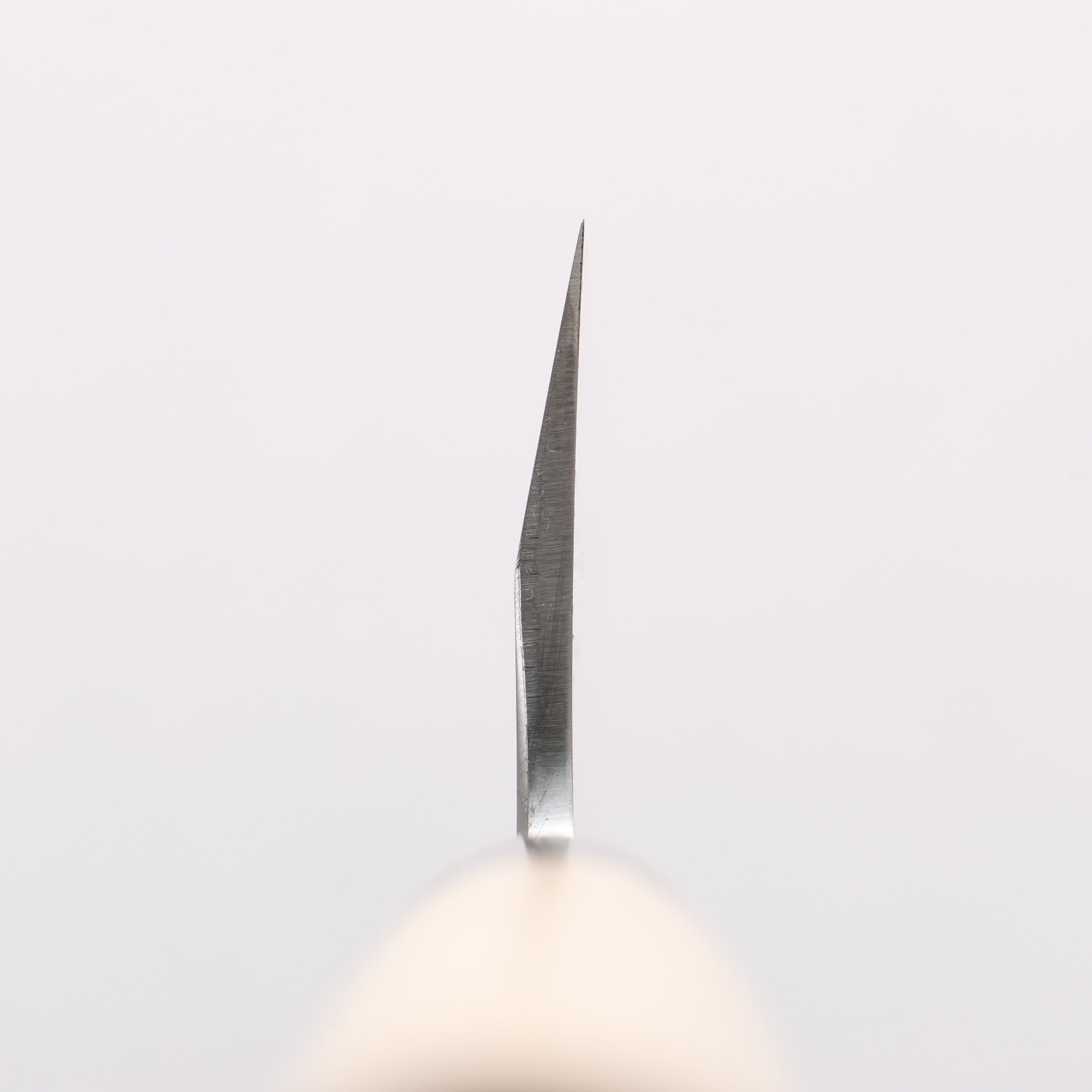 Sakai Takayuki Tokujyo White Steel No.2 Gyuto 240mm Magnolia Handle - Seisuke Knife