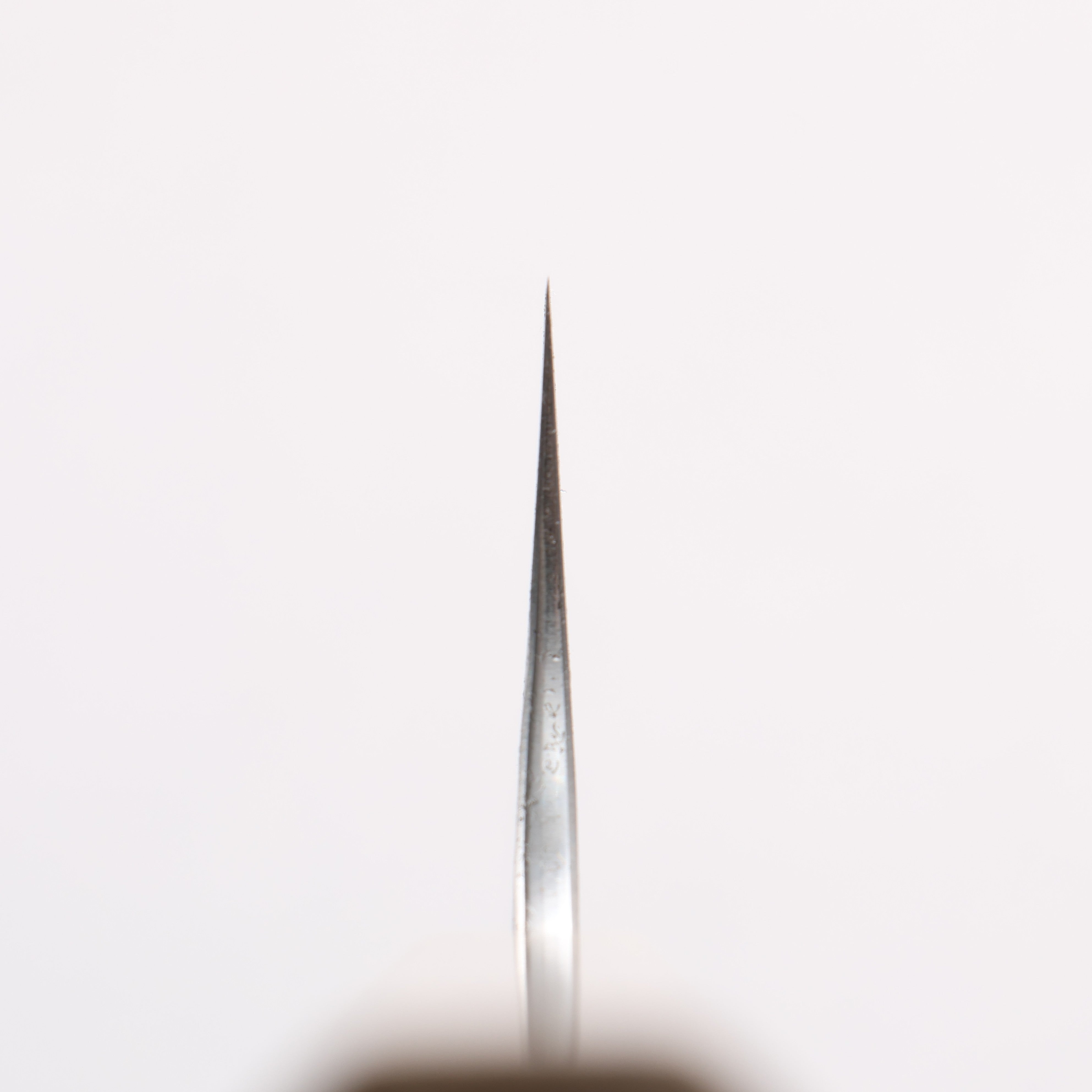 Anryu Blue Super Hammered Migaki Gyuto 210mm White Snake Skin Lacquered Oak Handle - Seisuke Knife