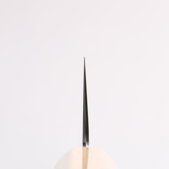 Hado Shiosai SG2 Hammered Kiritsuke Gyuto 210mm Cherry Tree Bark (On two sides) Handle - Seisuke Knife