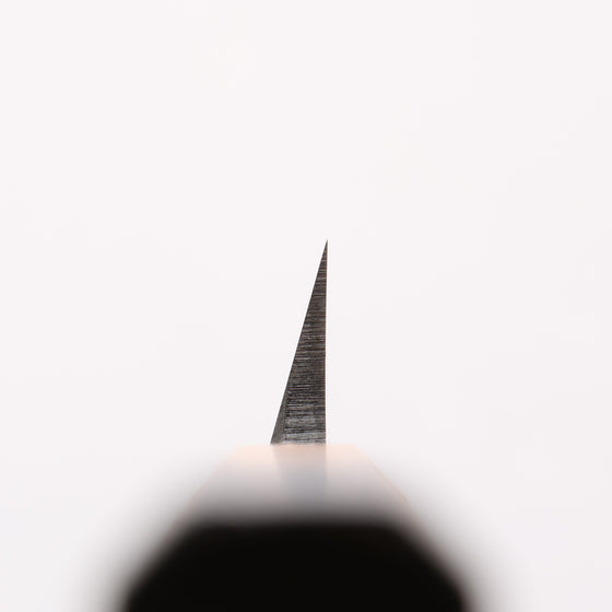 Sakai Takayuki Homura Guren Blue Steel No.2 Hammered Black Finished Yanagiba 300mm Burnt Oak Handle - Seisuke Knife