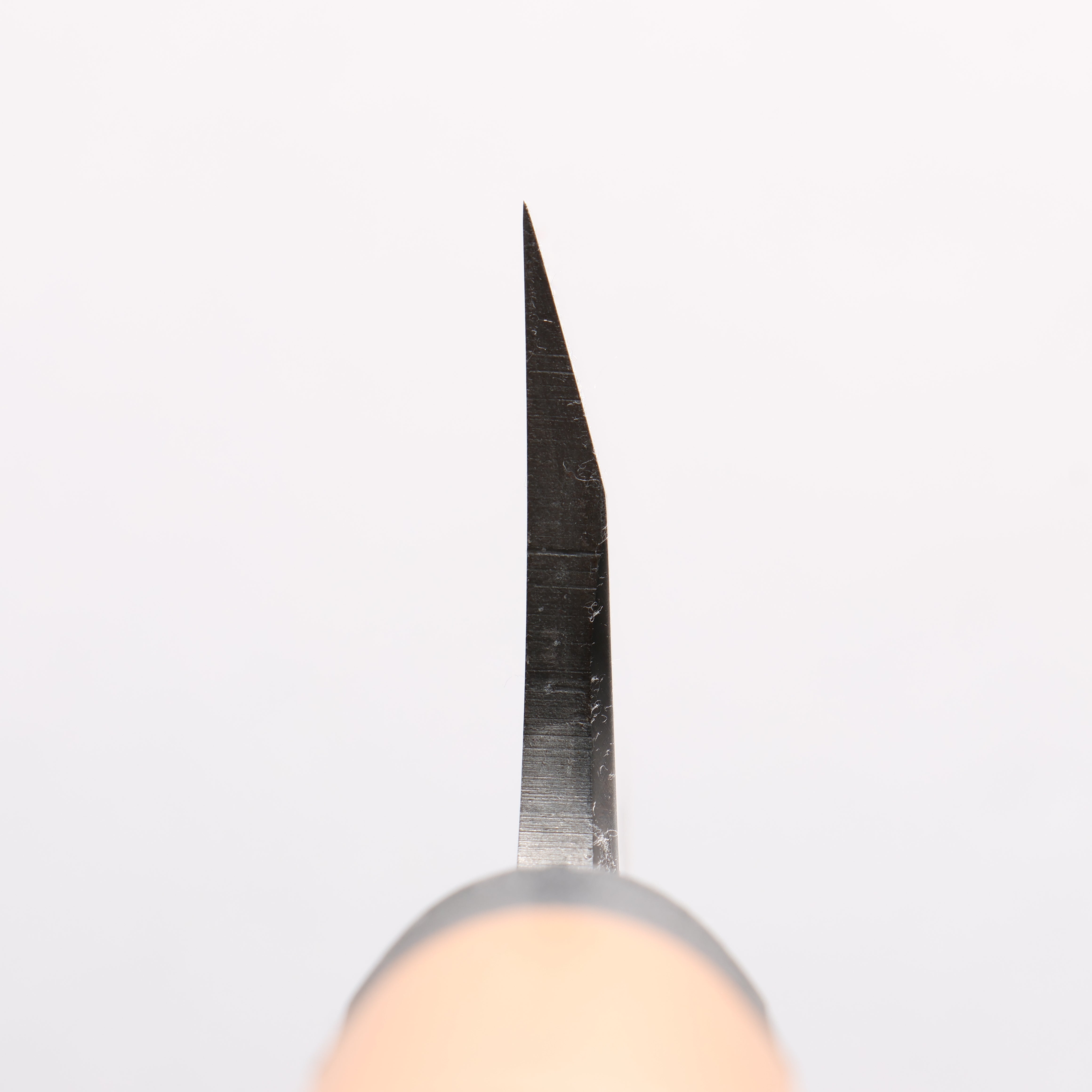 [Left Handed] Sakai Takayuki Molybdenum Steel Deba Japanese Chef Knife - Seisuke Knife