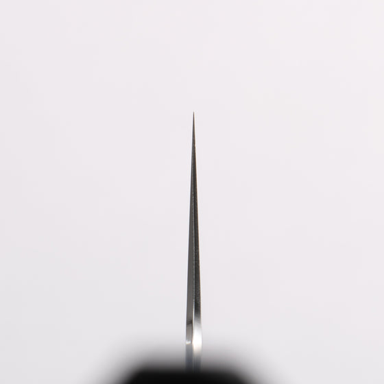 Hado Shiosai SG2 Hammered Kiritsuke Gyuto 210mm Black & Gray Wood Handle - Seisuke Knife