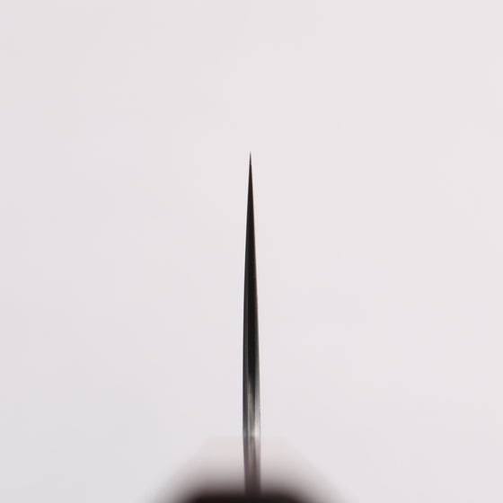 Shibata Takayuki Koutetsu Blue Super Gyuto 210mm Rosewood (Ferrule: Black Pakka Wood) Handle - Seisuke Knife