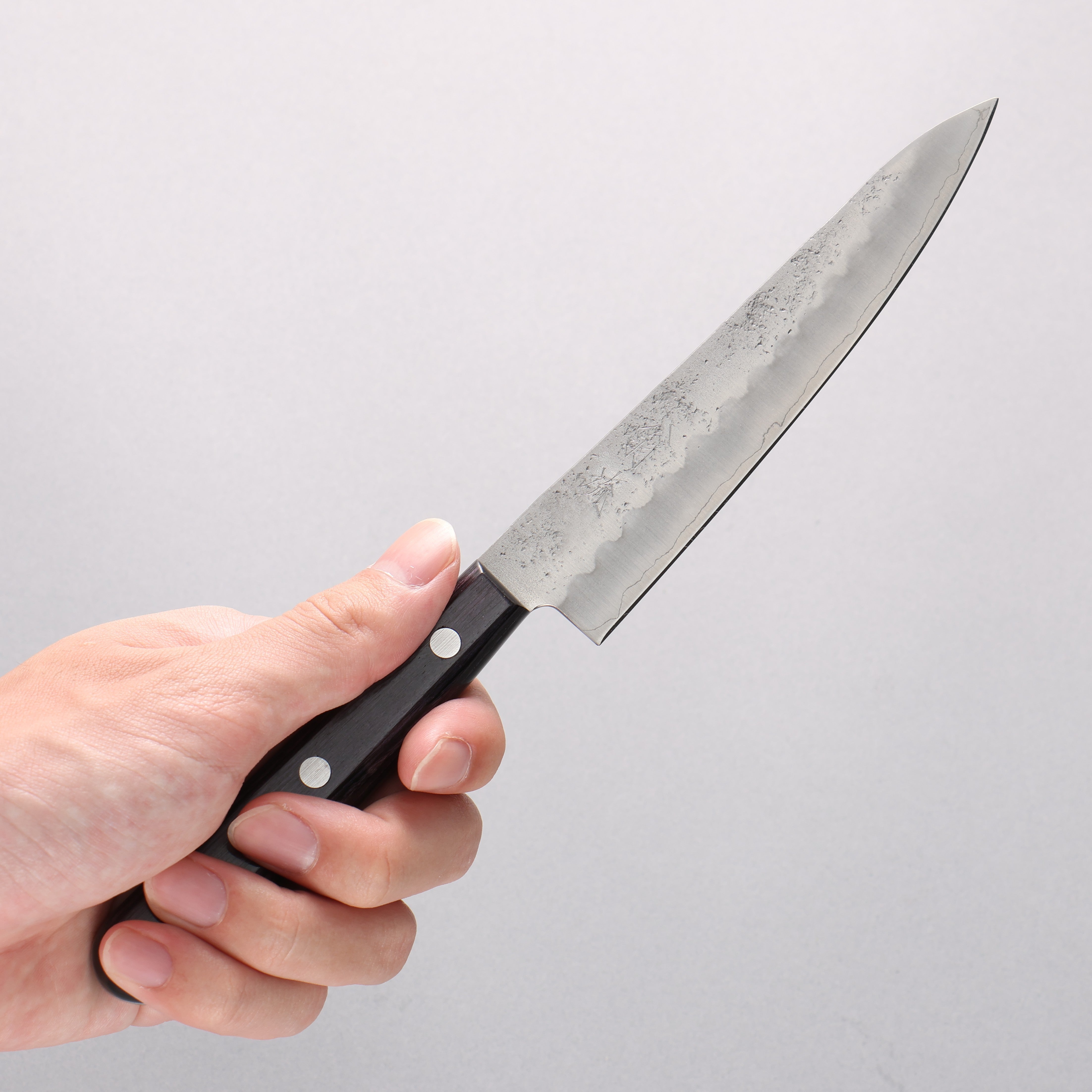 Oul Silver Steel No.3 Nashiji Petty-Utility 135mm Purple Pakkawood Handle - Seisuke Knife
