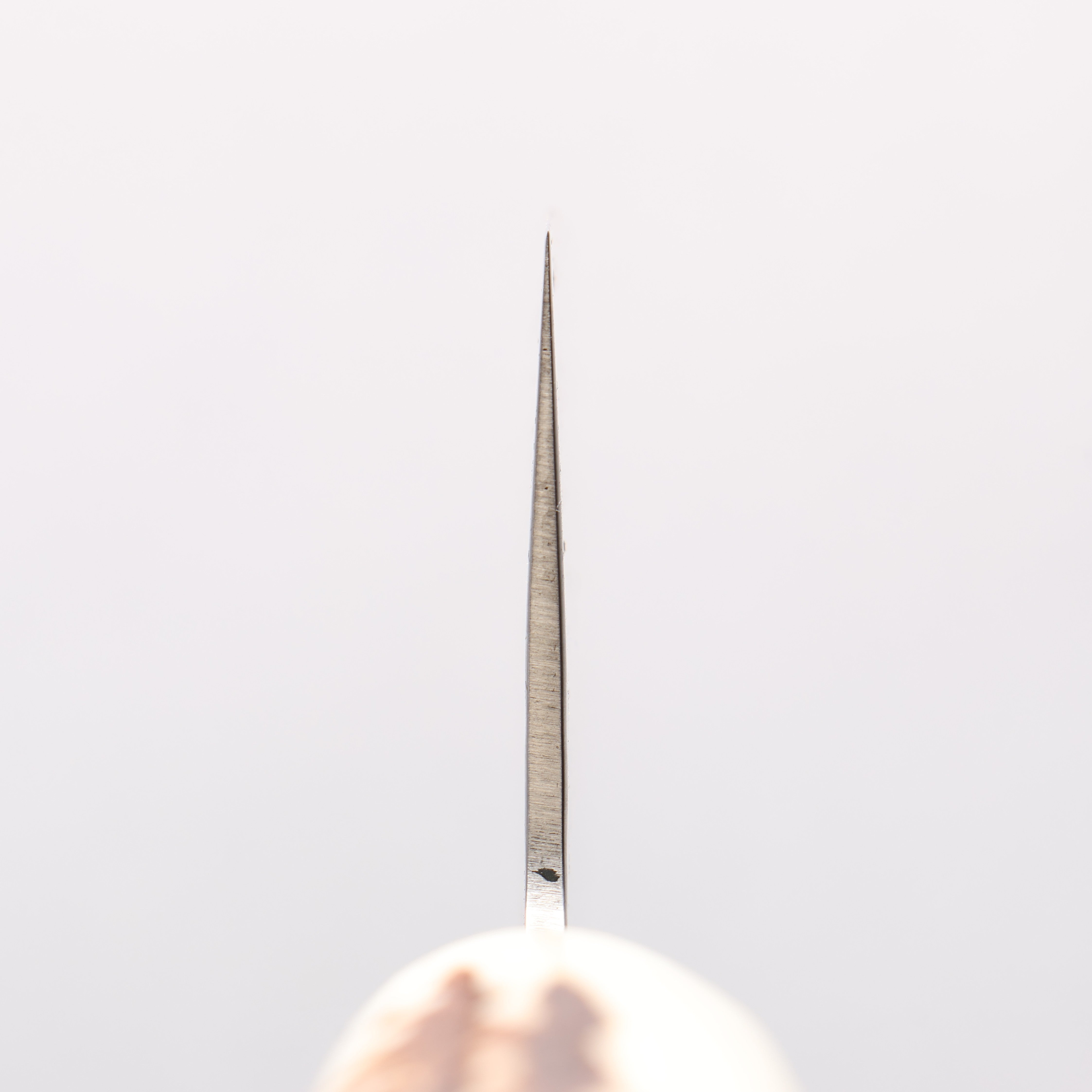 Sakai Takayuki VG10 33 Layer Damascus Gyuto 240mm Cow Bone Handle with Sheath - Seisuke Knife