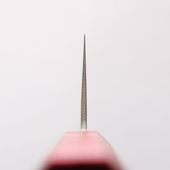 Sakai Takayuki VG10 33 Layer Damascus Gyuto 240mm Live oak Lacquered (Kouseki) Handle - Seisuke Knife