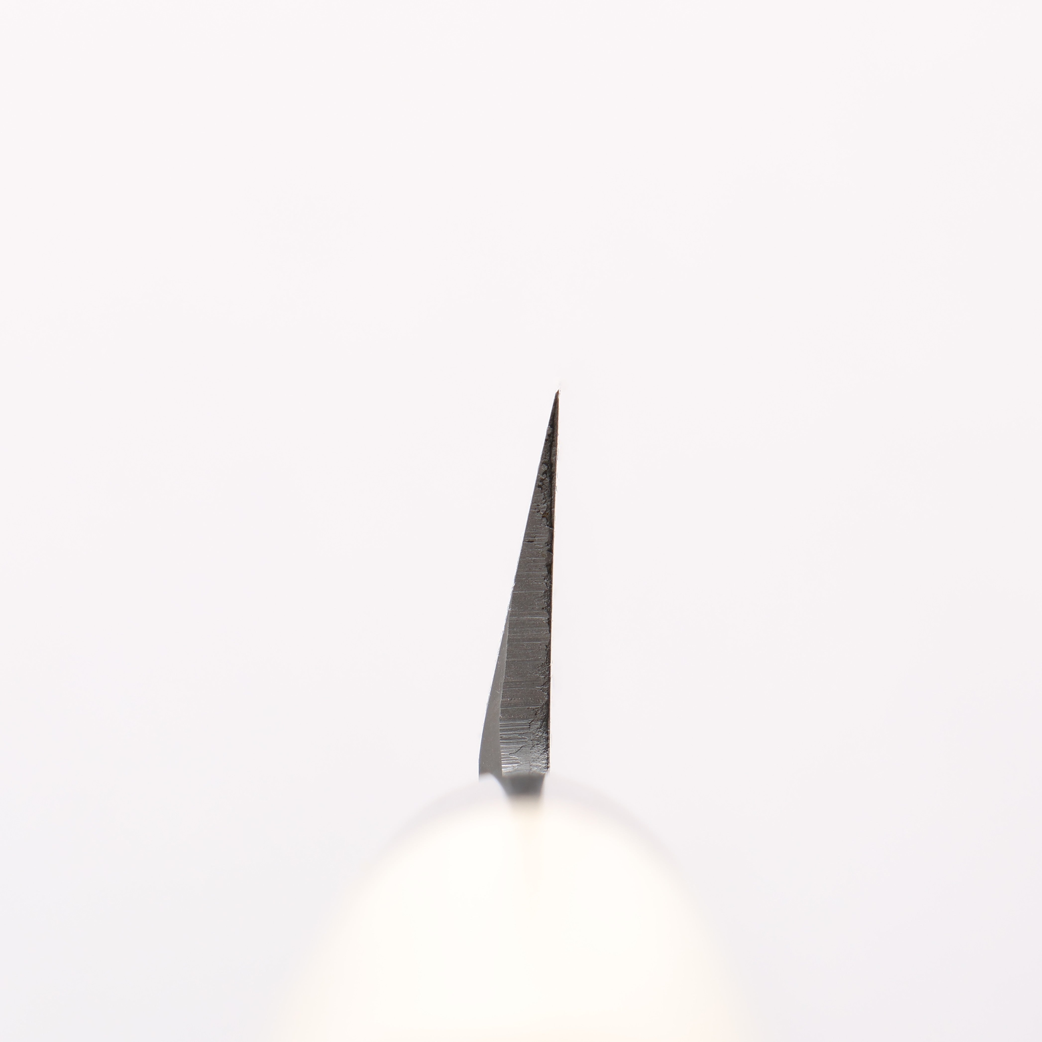 Sakai Takayuki INOX Japanese Chef Series 8A Steel Yanagiba Knife - Seisuke Knife