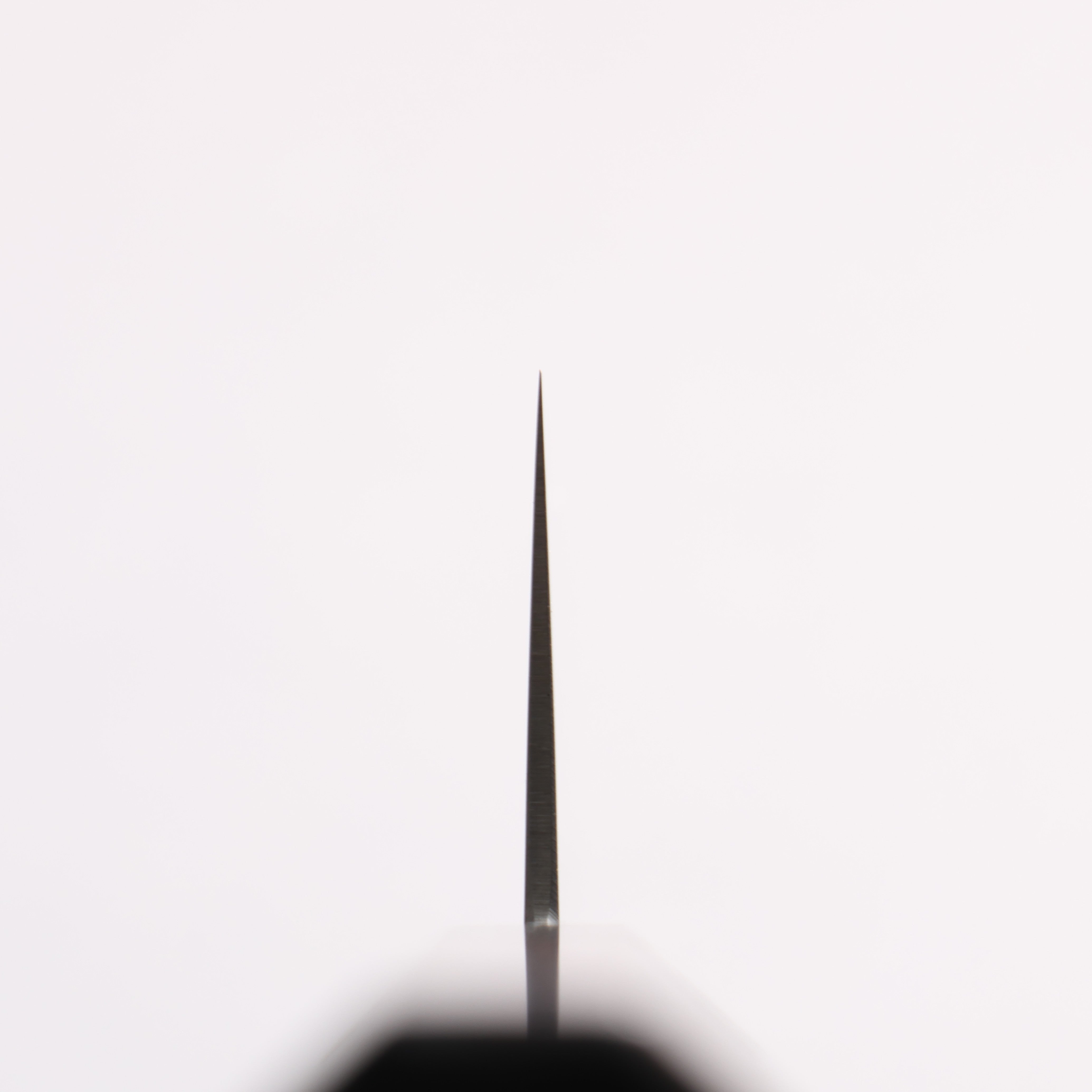 Seisuke VG10 Kiritsuke Santoku 180mm Shitan Handle - Seisuke Knife