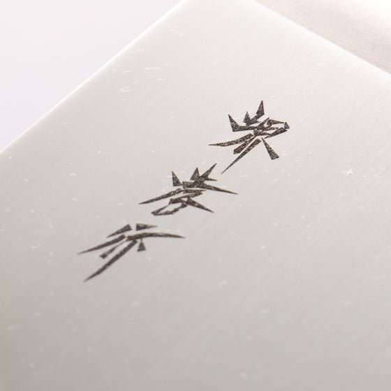 Sakai Takayuki Molybdenum Soba 270mm - Seisuke Knife