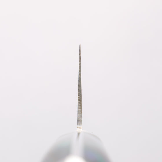 Sakai Takayuki Grand Chef SP Uddeholm Swedish stain-resistant steel Gyuto Salmon 210mm SP Type III (Galaxy) Handle - Seisuke Knife