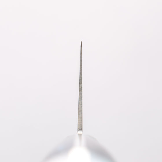 Sakai Takayuki Grand Chef SP Uddeholm Swedish stain-resistant steel Gyuto Salmon 240mm SP Type III (Ocean) Handle - Seisuke Knife