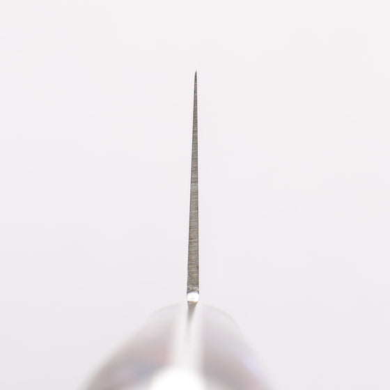 Sakai Takayuki Grand Chef SP Uddeholm Swedish stain-resistant steel Gyuto Salmon 240mm SP Type III (Galaxy) Handle - Seisuke Knife