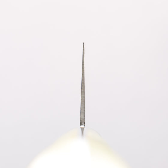 Sakai Takayuki Grand Chef SP Uddeholm Swedish stain-resistant steel Gyuto Salmon 210mm SP Type III (Pearl) Handle - Seisuke Knife