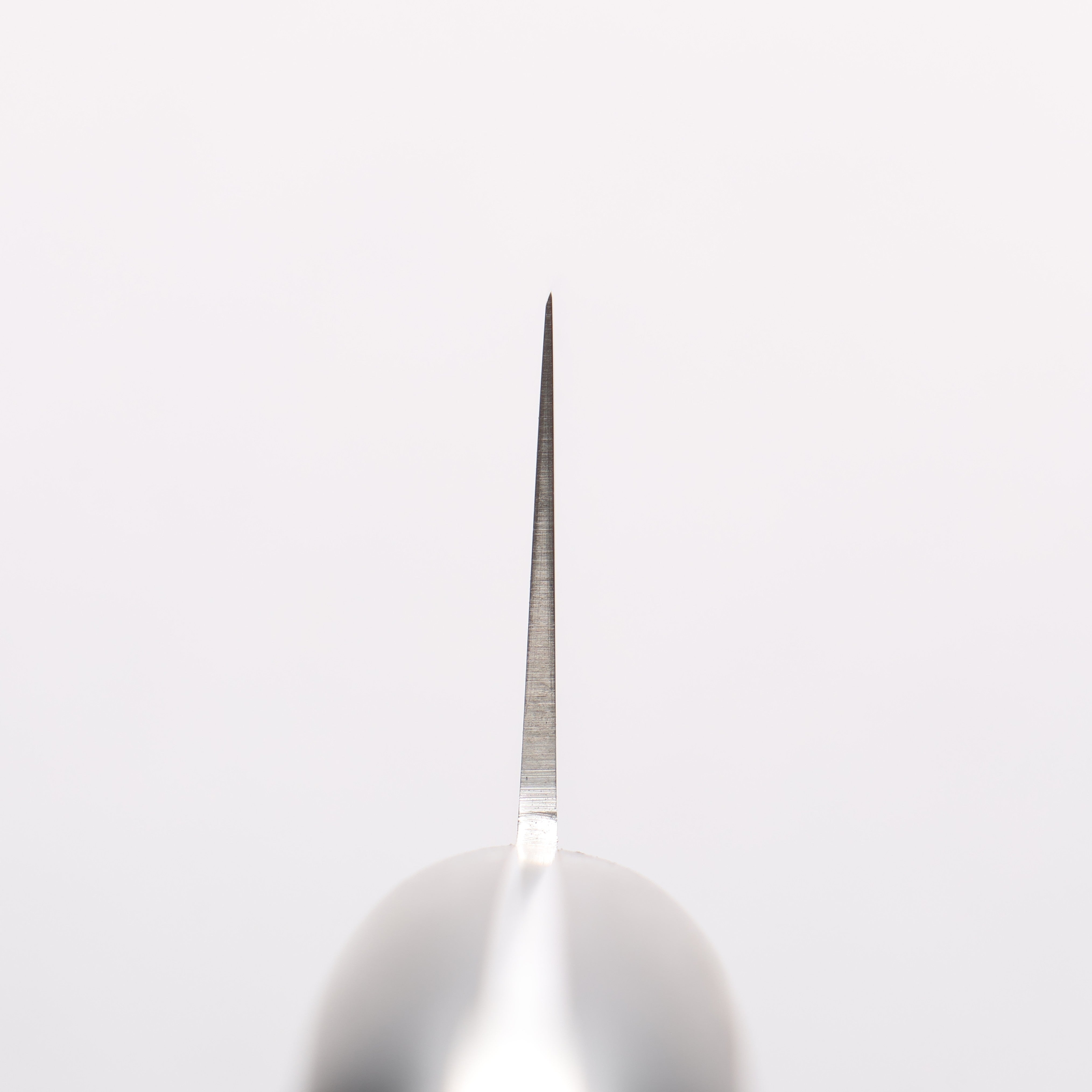 Sakai Takayuki Molybdenum Migaki Finished Gyuto 180mm Black PC(Plastic) Handle - Seisuke Knife