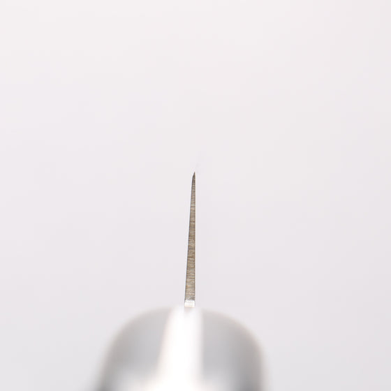 Sakai Takayuki Grand Chef Swedish Steel-stn Sujihiki - Seisuke Knife