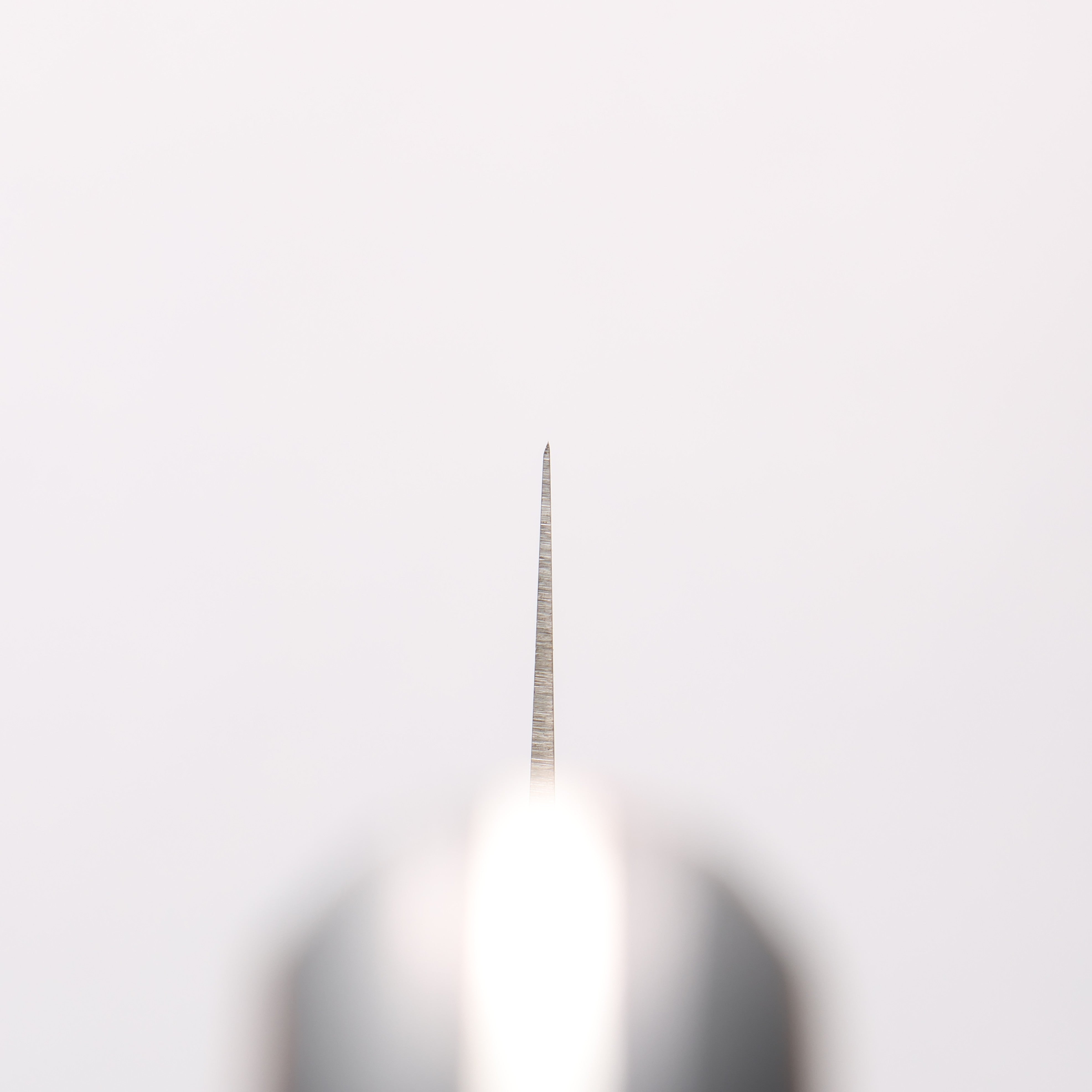 Sakai Takayuki TUS Stainless Steel Sujihiki - Seisuke Knife