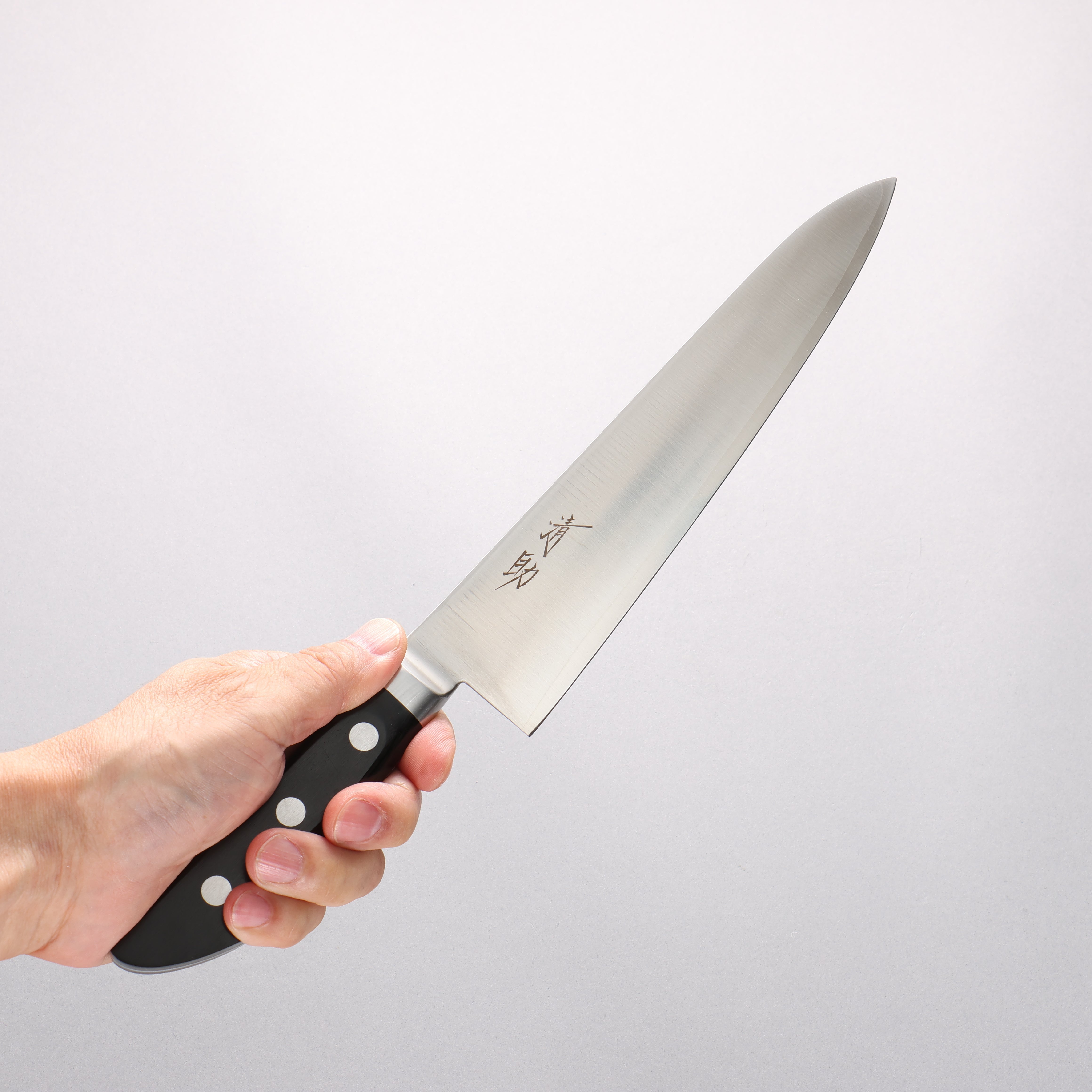 Seisuke VG1 Gyuto 210mm Black Pakkawood Handle - Seisuke Knife