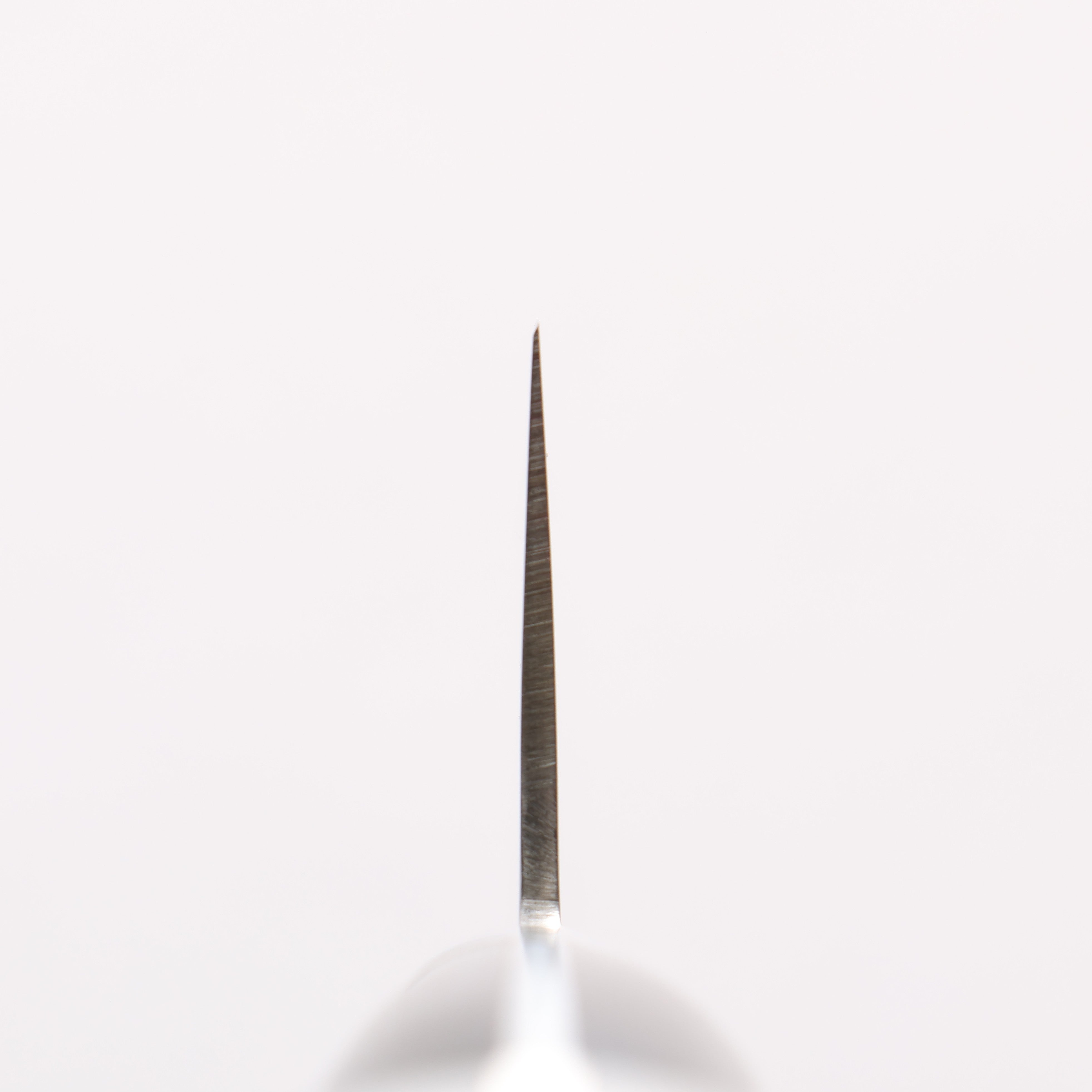 Seisuke VG1 Gyuto 210mm Black Pakkawood Handle - Seisuke Knife