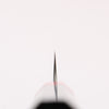 Yoshimi Kato SPG STRIX Hammered (V) Kiritsuke Petty-Utility 120mm Ebony (ferrule: Red Resin) Handle - Seisuke Knife - Slide 6