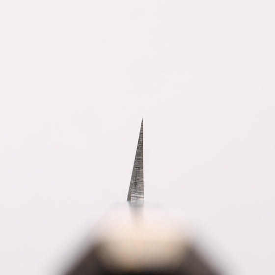 Sakai Takayuki Nanairo INOX Molybdenum Yanagiba 240mm ABS resin(Turquoise pearl) Handle - Seisuke Knife