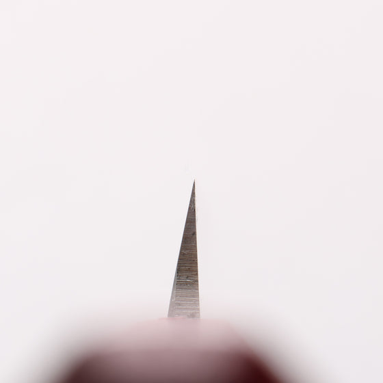 Sakai Takayuki Sakai Takayuki Nanairo INOX Molybdenum Yanagiba 270mm with Red Tortoiseshell ABS Resin Handle - Seisuke Knife