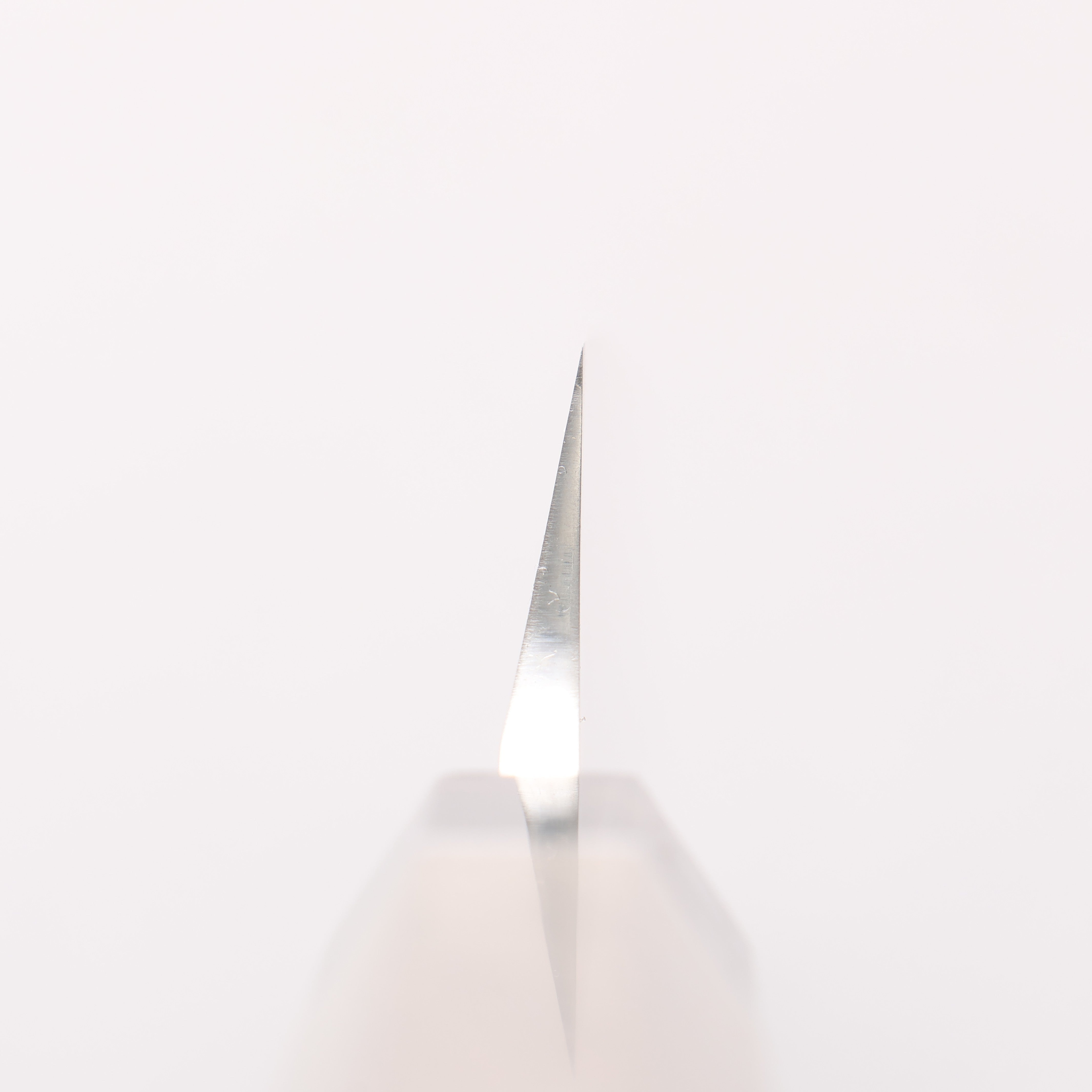 Sakai Takayuki Ginryu Honyaki Swedish Steel Mirrored Finish Sakimaru Yanagiba 300mm Stabilized wood Handle with Sheath - Seisuke Knife