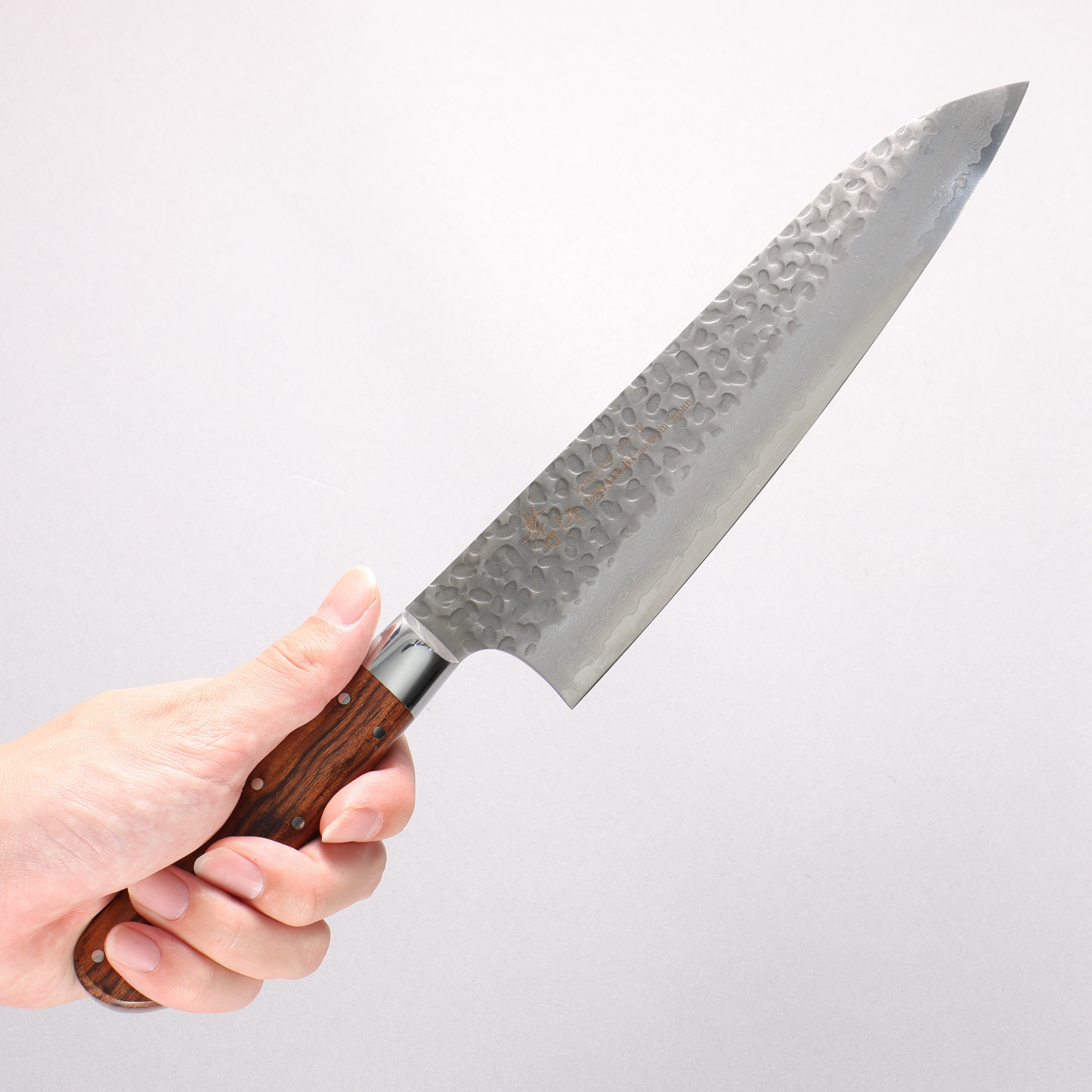 Sakai Takayuki VG10 33 Layer Damascus Gyuto 210mm Desert Ironwood(Sugihara model) Handle - Seisuke Knife