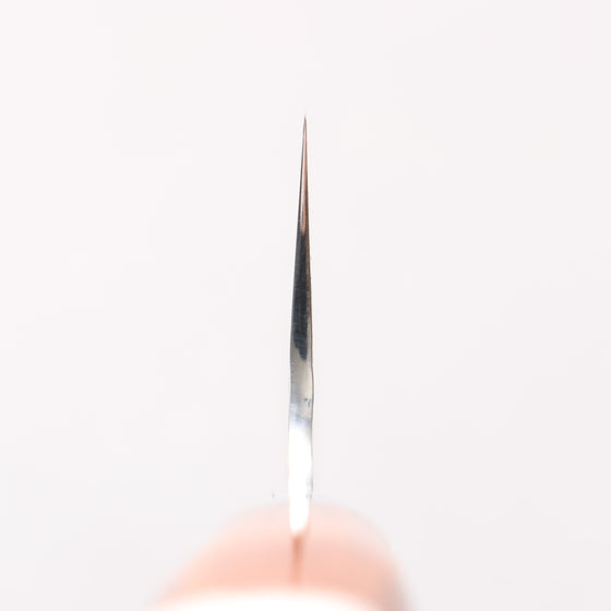 Sakai Takayuki VG10 33 Layer Damascus Gyuto 210mm Desert Ironwood(Sugihara model) Handle - Seisuke Knife